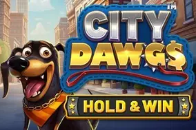 City Dawgs Hold & Win